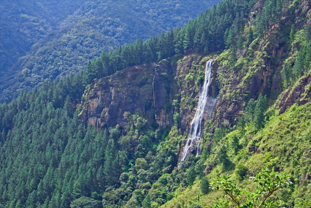 Bambarakanda Falls, Nature