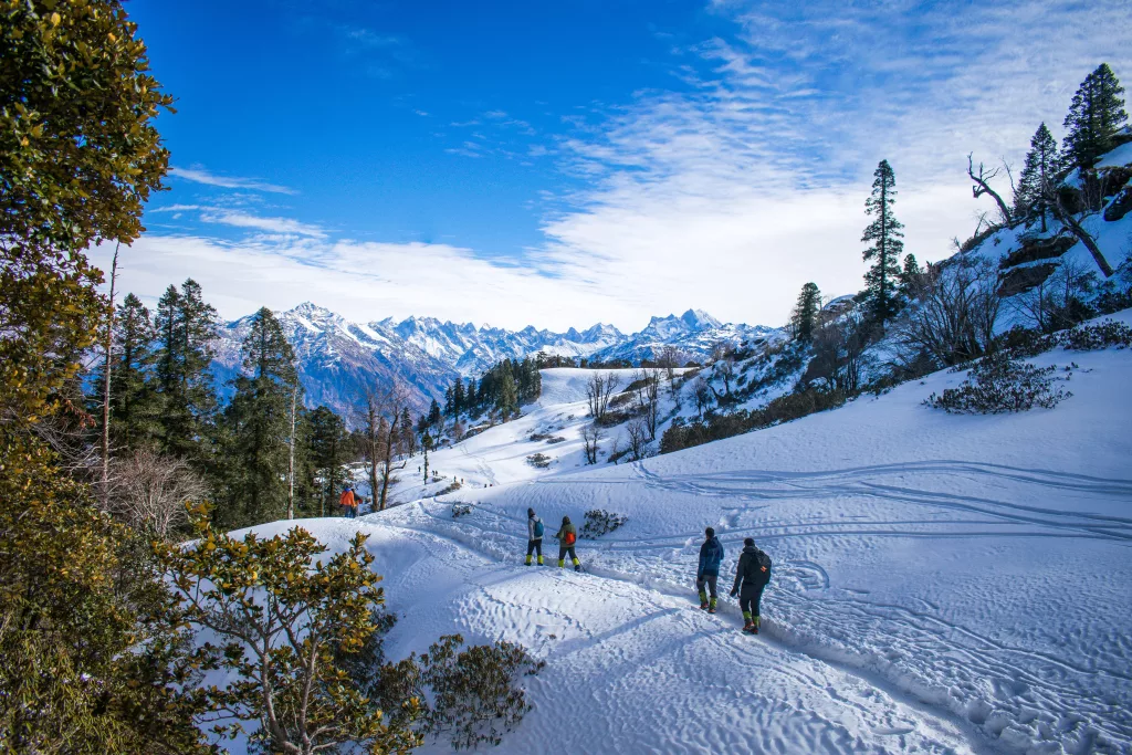 Manali-Himachal Pradesh-India