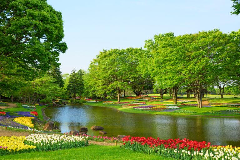 Showa Memorial Park in Japan