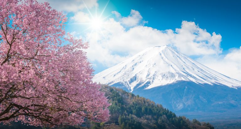 Mountain Fuji and pink Cherry blossom Sakura tree on blue sky wh