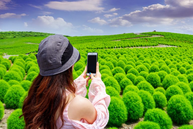 Young woman take a photos at hitachi seaside park, Japan