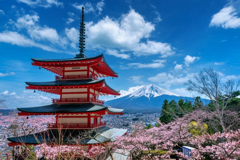 Cherry blossoms in spring, Chureito pagoda and Fuji mountain in