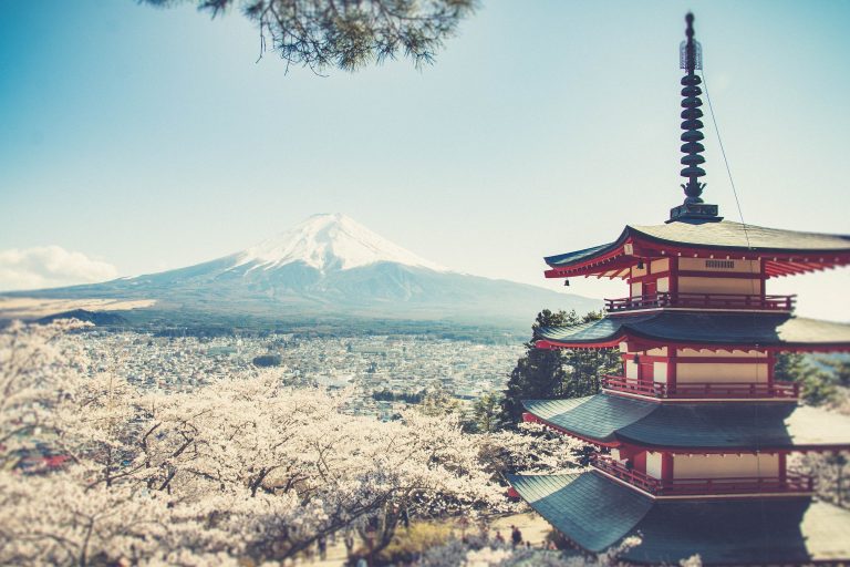 fuji mountain in spring season