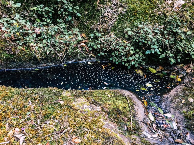 Natural herbal tub