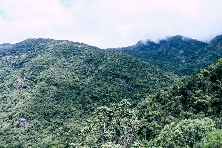 Piduruthalagala Forest Reserve