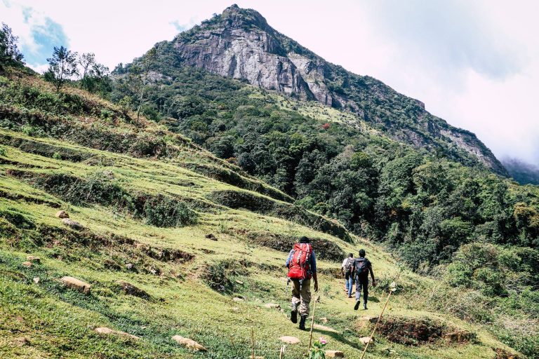 Way to Kolapathana Waterfall