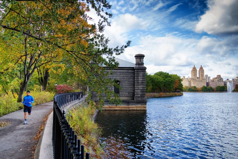 Central Park path in New York City during autumn season