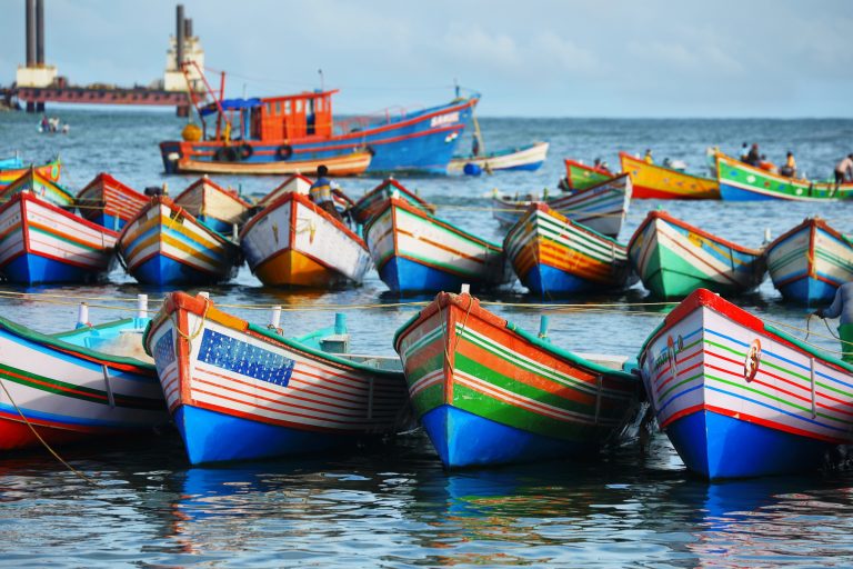 Fishing boats at Vizhinjam harbor, Kovalam, Kerala, India