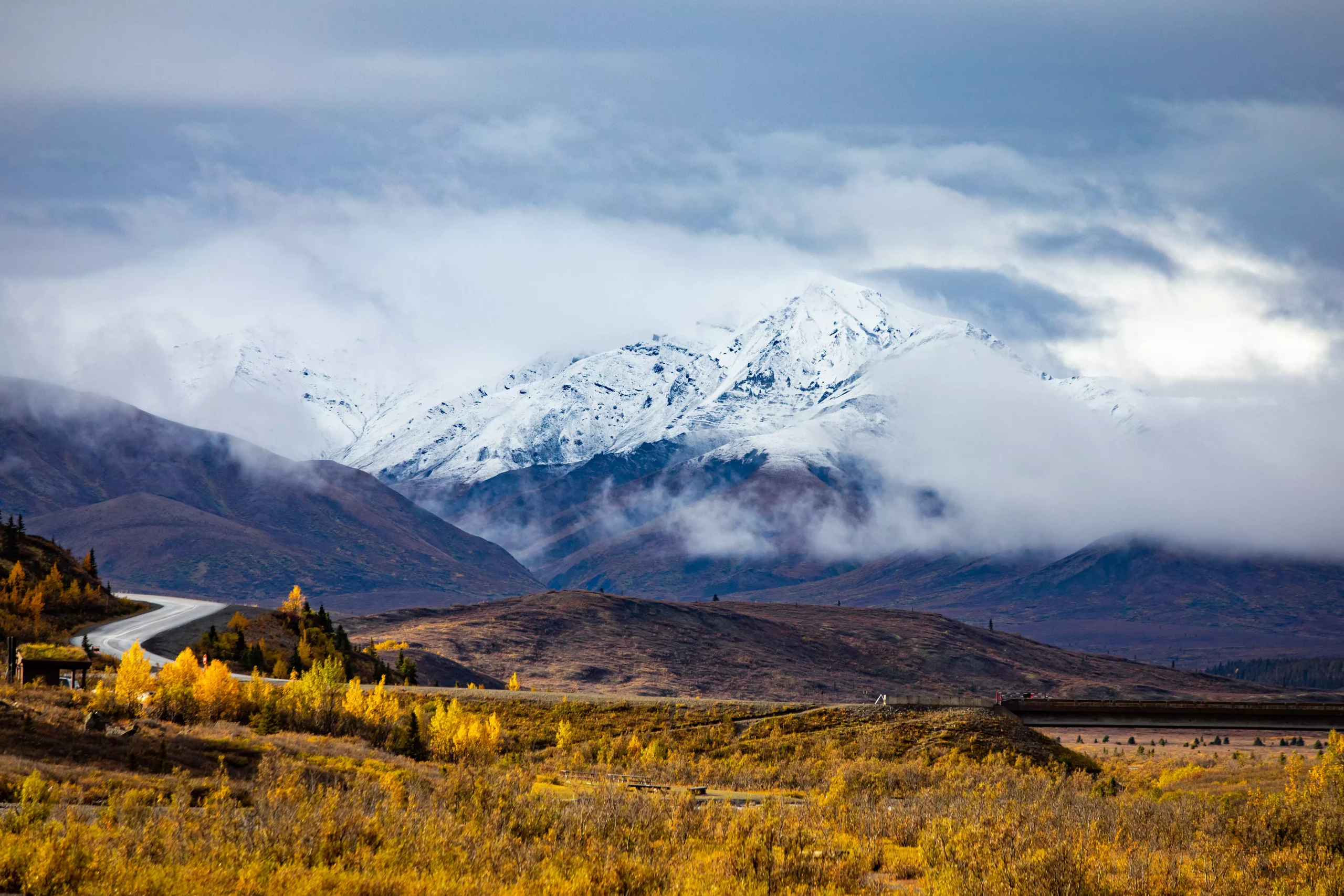 Denali National Park