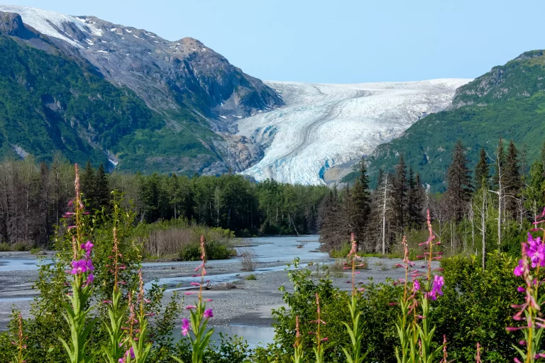 Mendenhall Glacier