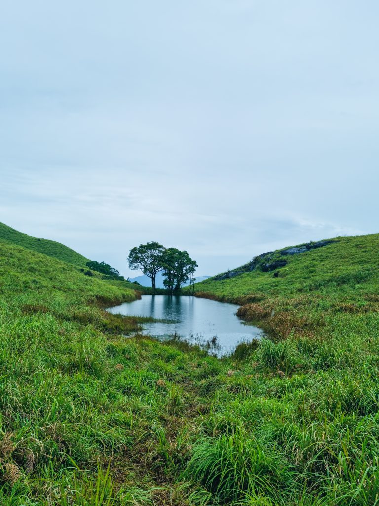 Chembra Peak