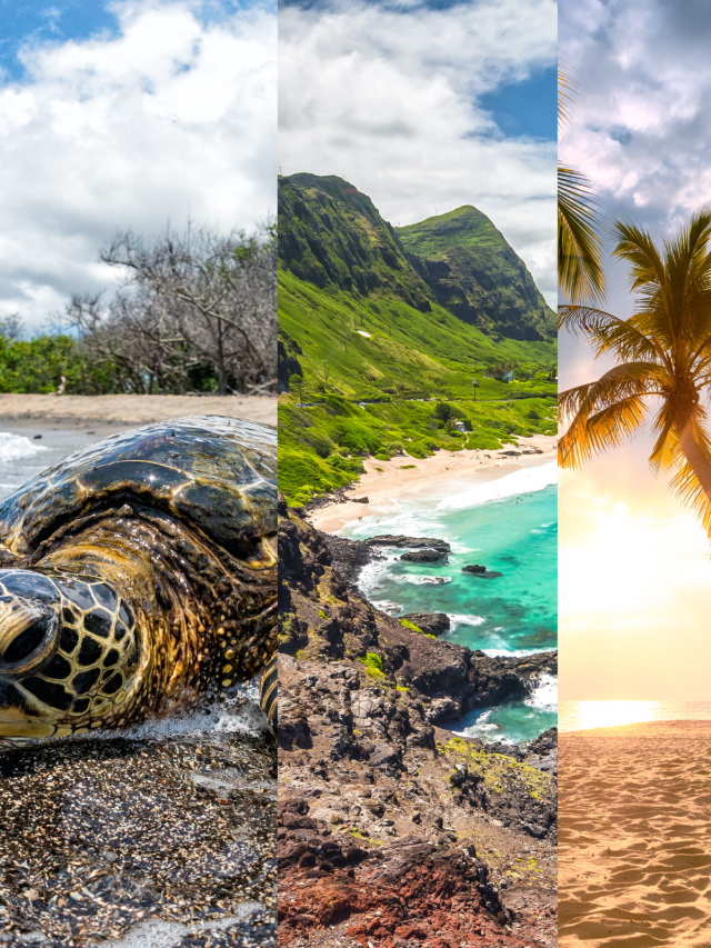 Hawaii: The Most Beautiful Beach Tourist Destination In America