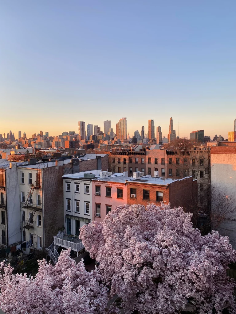 NYC Neighborhood