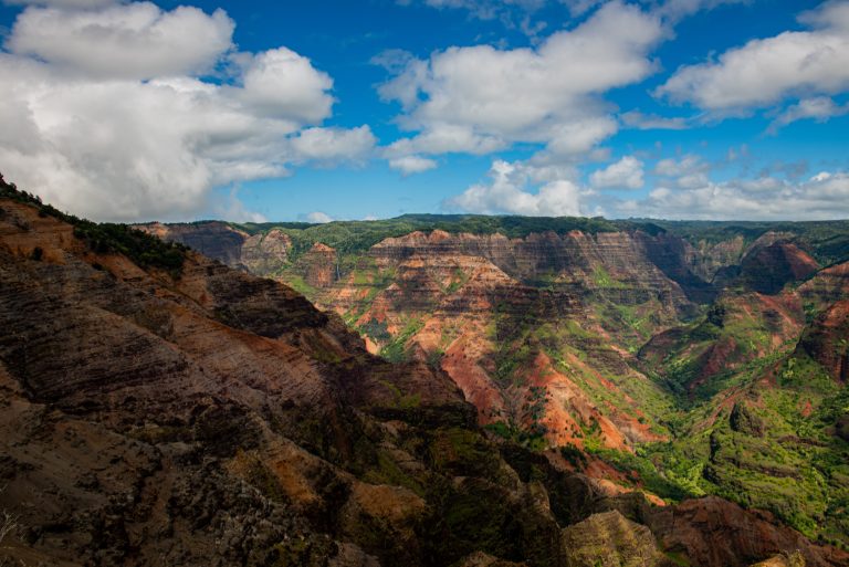 Waimea Canyon State Park