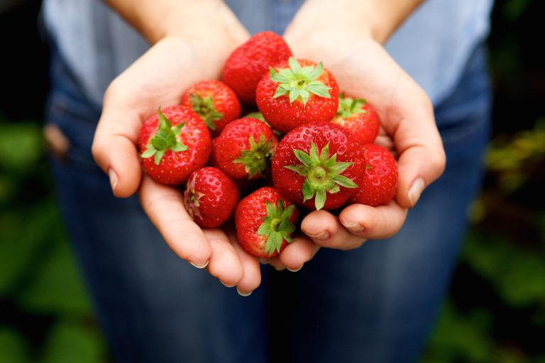 red strawberries