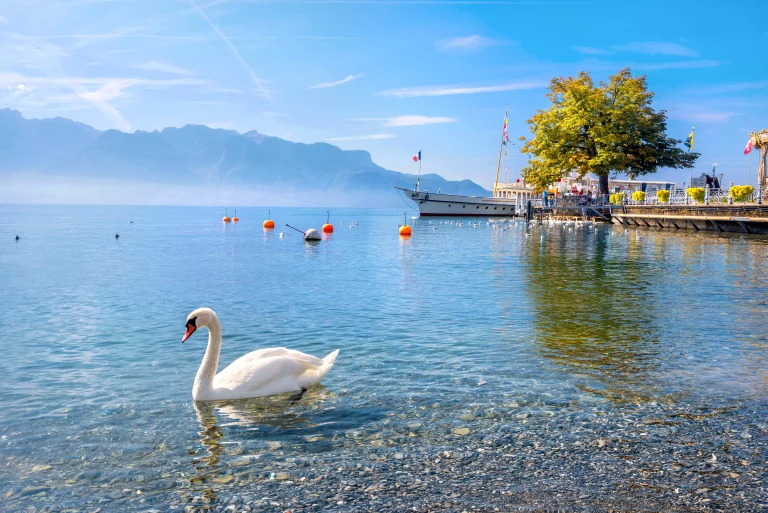 Lake Geneva in Vevey