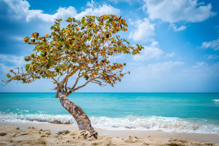 Seven Mile Beach, Negril, Jamaica