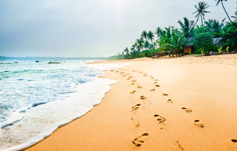 Mirissa Beach, Sri Lanka