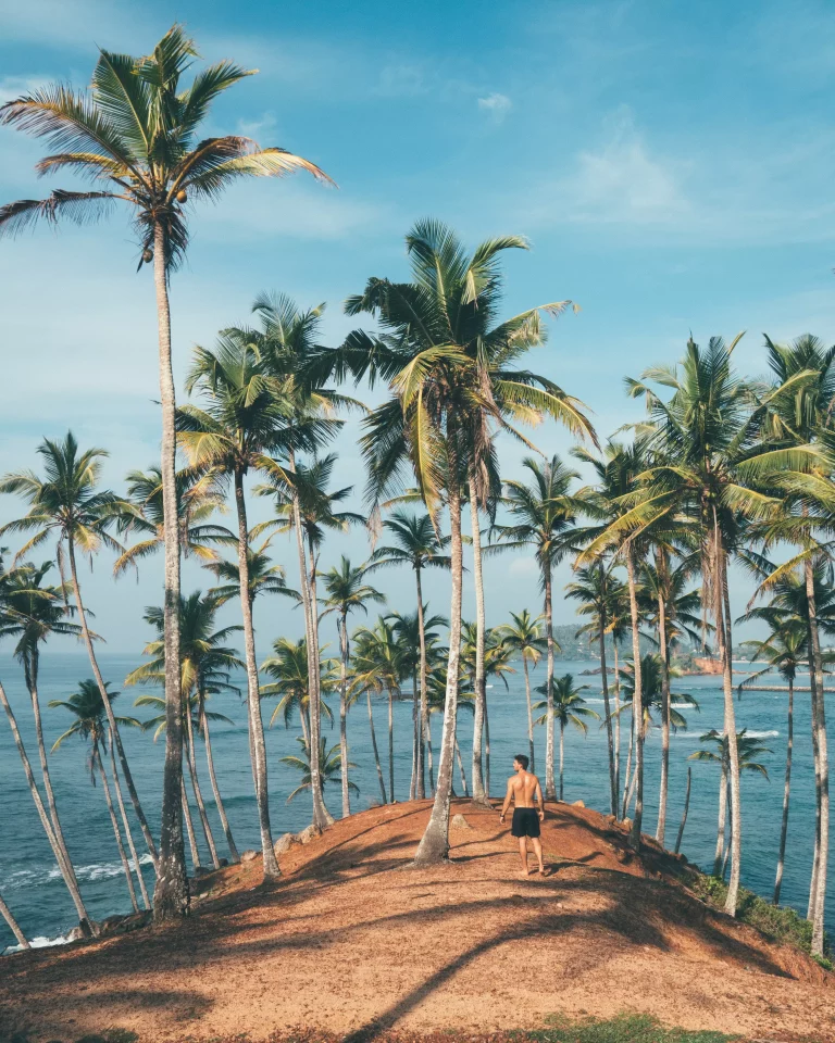 Coconut Tree Hill, Mirissa Beach, Sri Lanka