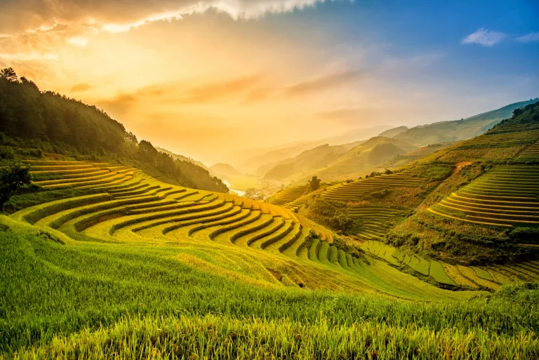 Beautiful Sunset on terraced rice field in harvest season in Mu