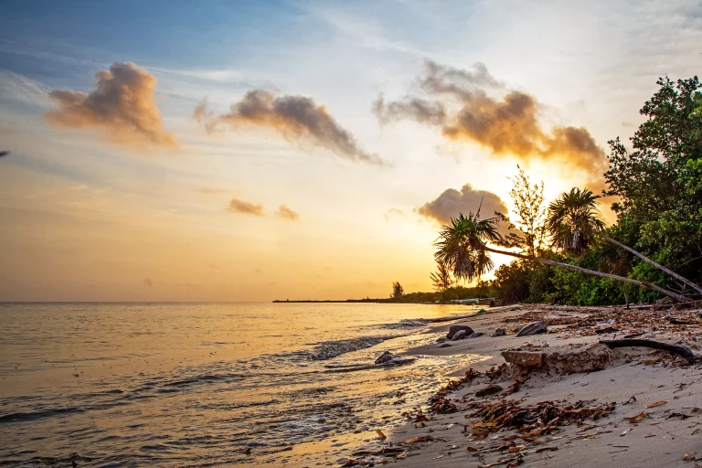 Golden Sunrise on Cozumel Beach