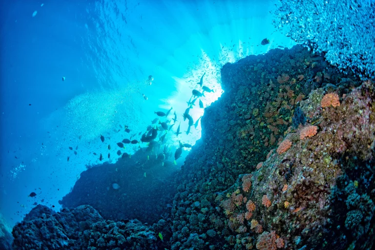 Great Barrier Reef, Australia