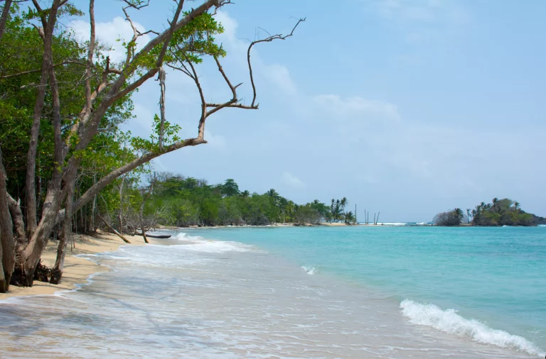 Playa soledad capurgana choco