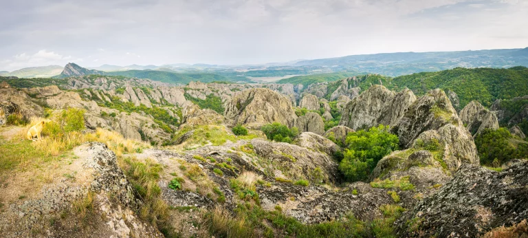 Aerial panoramic view to rocky landscape of Birtvisi canyon. Stunning view in Georgia