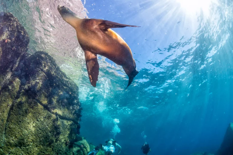 Galapagos Islands