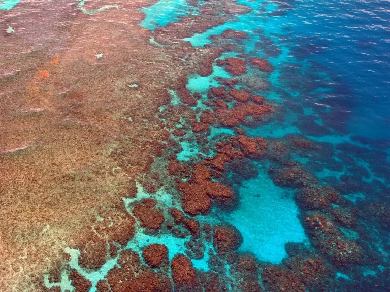 Great Barrier Reef, Australia