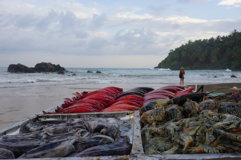 Sea Food In Mirissa