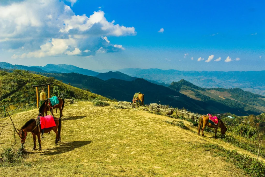 Doi Chiang Dao