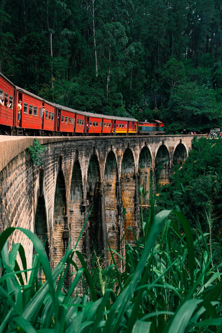 Train on Nine Arches Bridge in Sri Lanka